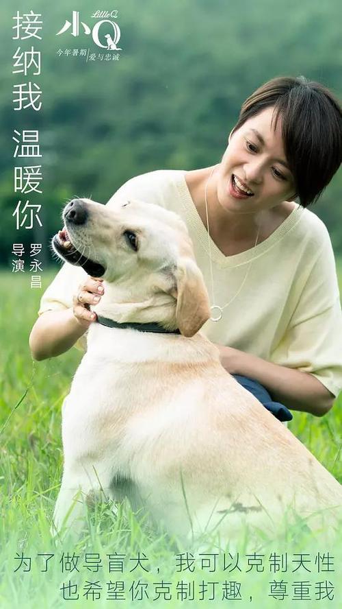 仿制普利茅斯大学毕业证